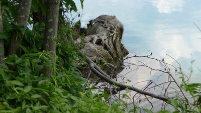 Reunion 2014 Green Lakes S.P.
Green Lakes Lakeside by Abrams
