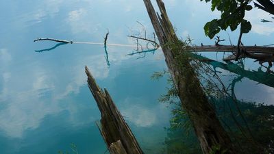 Reunion 2014 Green Lakes S.P.
Green Lakes Lakescape by Abrams
