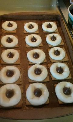 2015 Family Reunion, July 11, 2015
S'Mores by Laurel Higham
