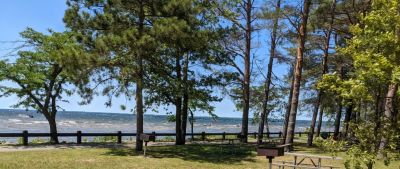 2022 Family Reunion July 9, 2022 VBSP
Oneida Lake at Verona Beach
Looking toward the swimming area from South Pavilion
