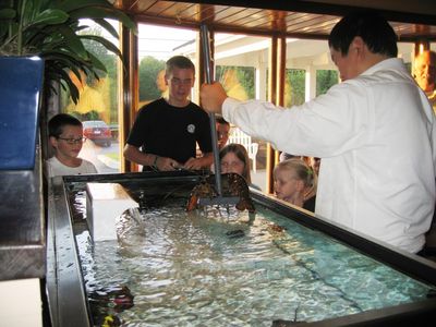 Thursday Trip Home
Night out at red Lobster: Larry the Lobster gets an elevator ride to visit, courtesy of the Lobster Tender. Thomas, Jake, Julia and Madison watch.
